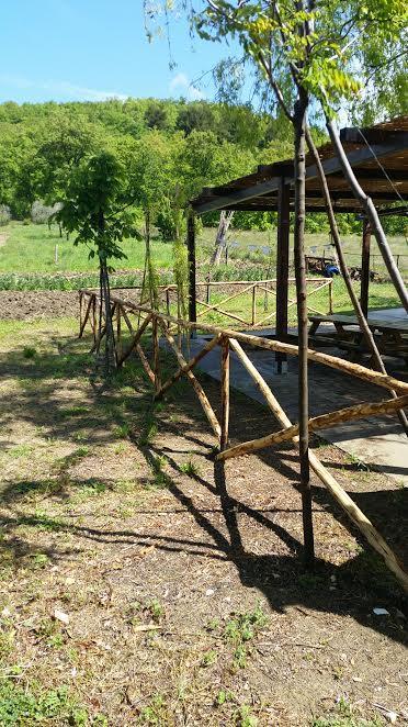 Dal Biondo Bed & Breakfast Dogliola Dış mekan fotoğraf